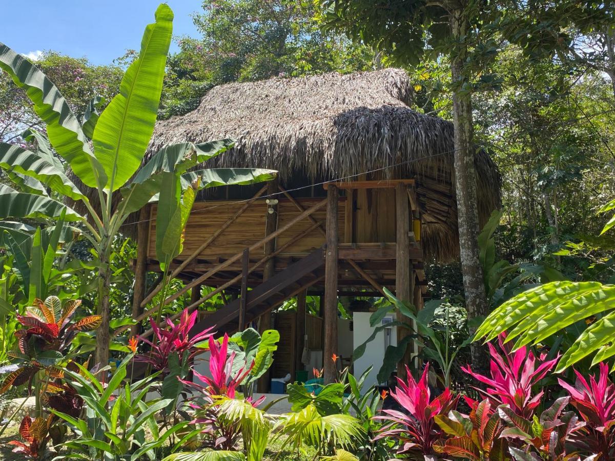 Hotel Salvia Madre Guachaca