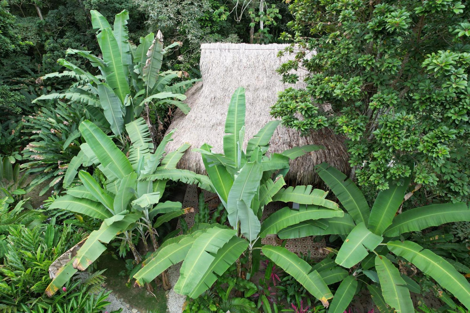 Salvia Madre Hotel *