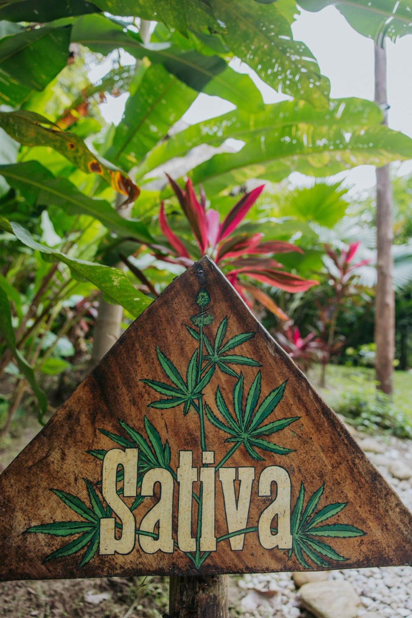 Salvia Madre Hotel