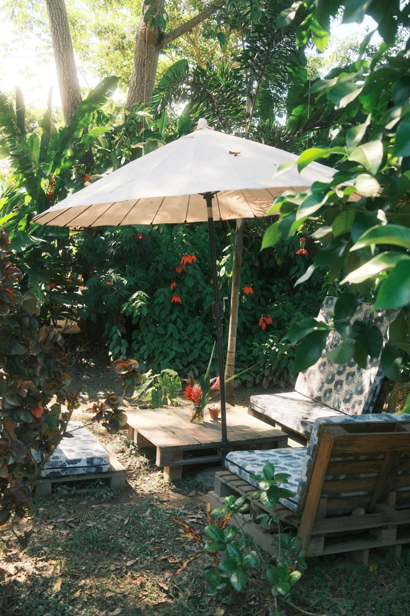 Salvia Madre Hotel Guachaca