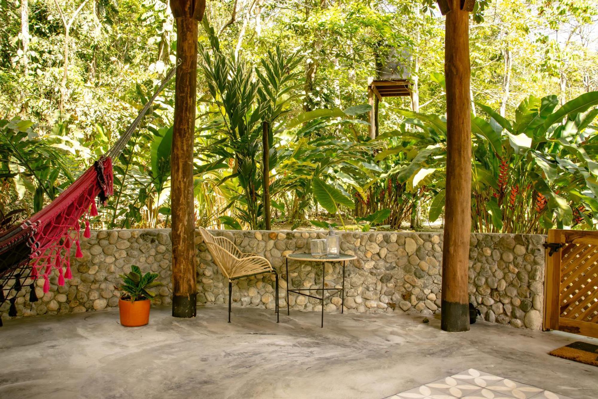 Salvia Madre * Santa Marta (Magdalena)